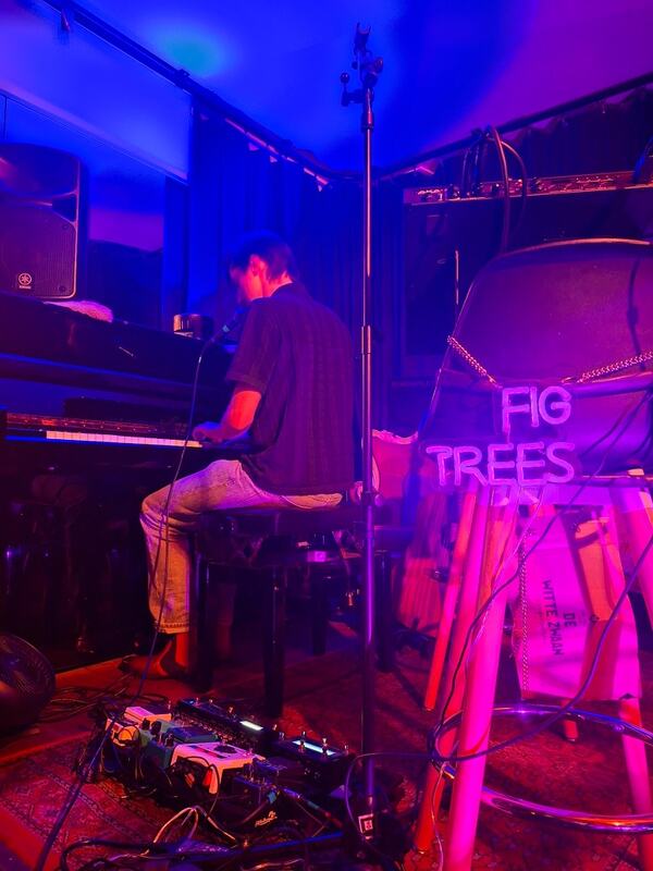 figtrees live at De Loge
